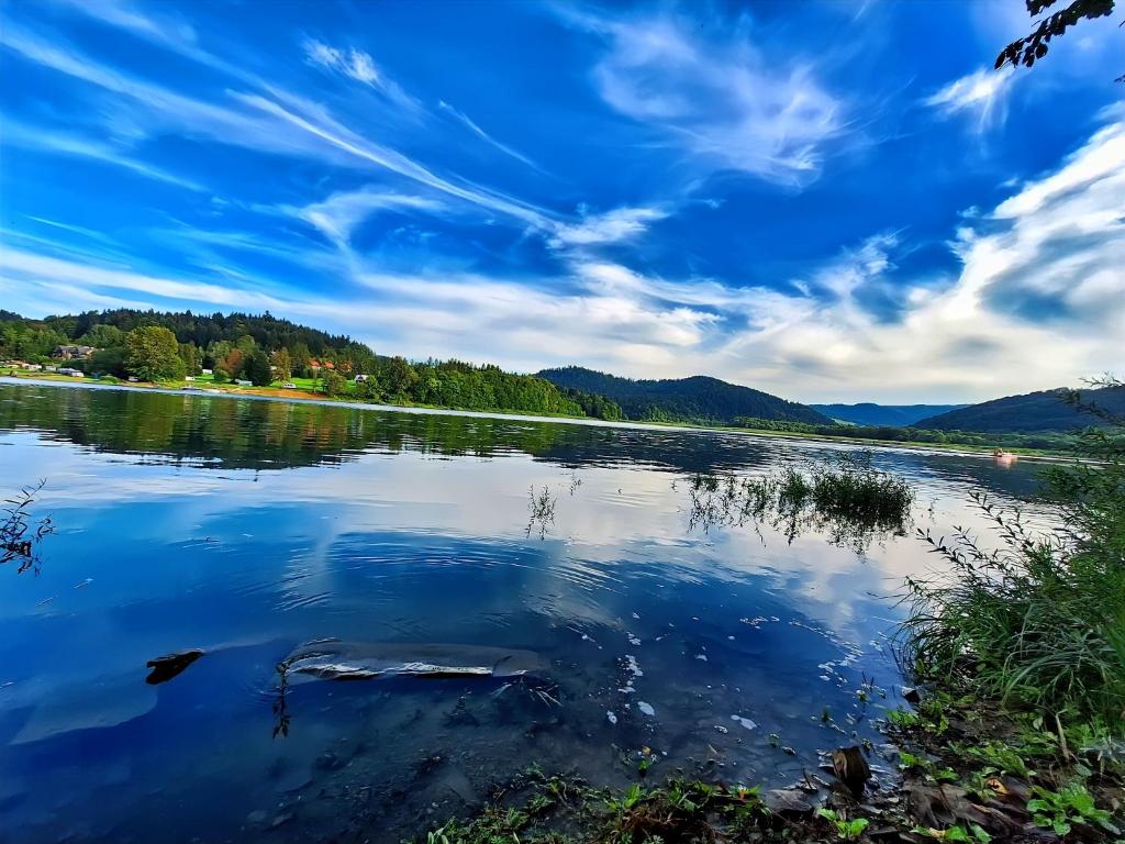 Widok